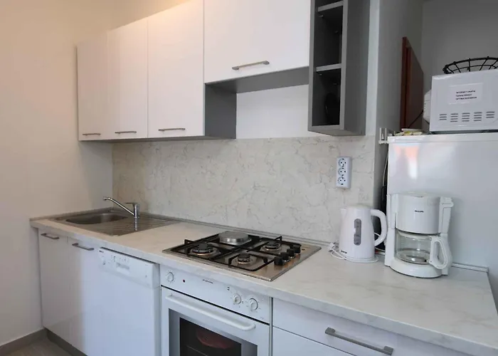 In - Insel Krk 13440 シロ